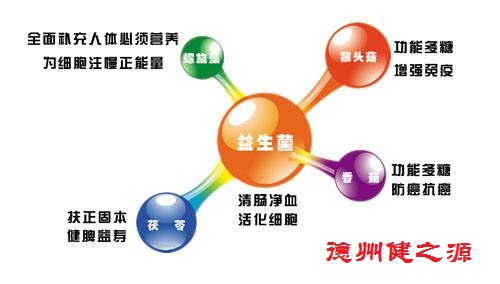 腸胃功能差，益生菌就可以解決一切